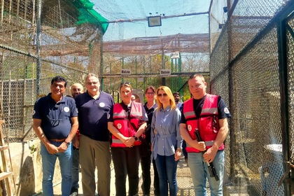 Среща в Исламабад с международен екип с българско участие от организацията за защита на животните „Четири лапи“